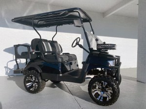 Black Golf Cart Renegade Scout